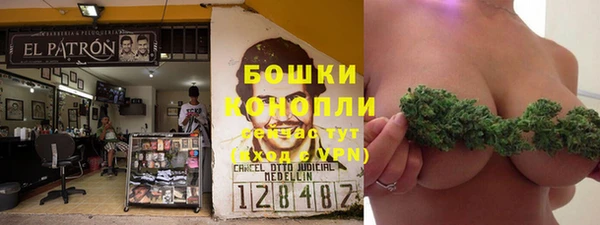 шишки Богородицк