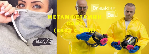ГАЛЛЮЦИНОГЕННЫЕ ГРИБЫ Богданович