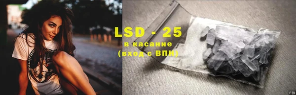 ГАЛЛЮЦИНОГЕННЫЕ ГРИБЫ Богданович