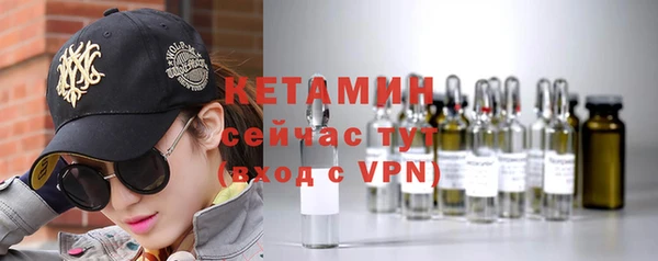 шишки Богородицк