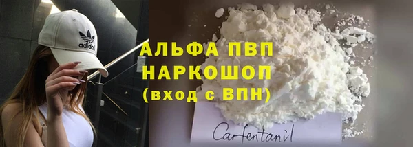 шишки Богородицк
