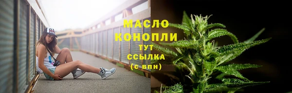 дмт Богородск