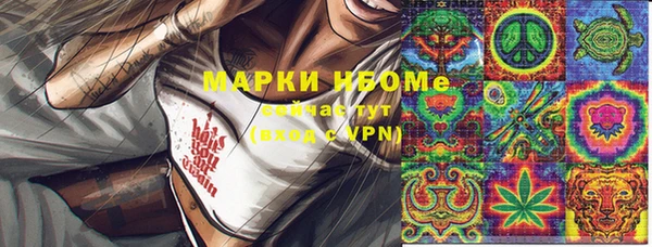 ГАЛЛЮЦИНОГЕННЫЕ ГРИБЫ Богданович