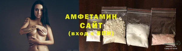 ГАЛЛЮЦИНОГЕННЫЕ ГРИБЫ Богданович