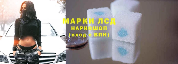 шишки Богородицк