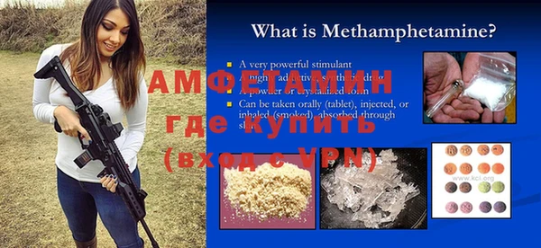 ГАЛЛЮЦИНОГЕННЫЕ ГРИБЫ Богданович