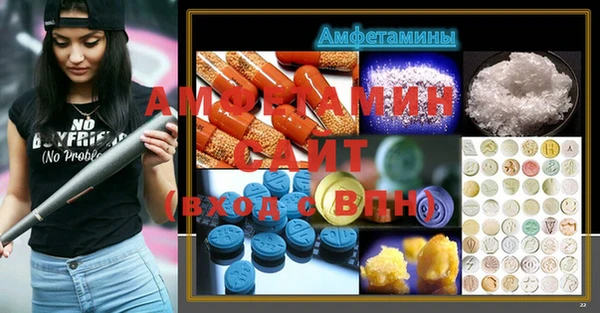 ГАЛЛЮЦИНОГЕННЫЕ ГРИБЫ Богданович