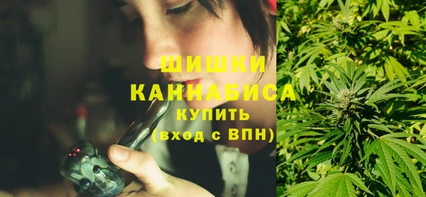 шишки Богородицк