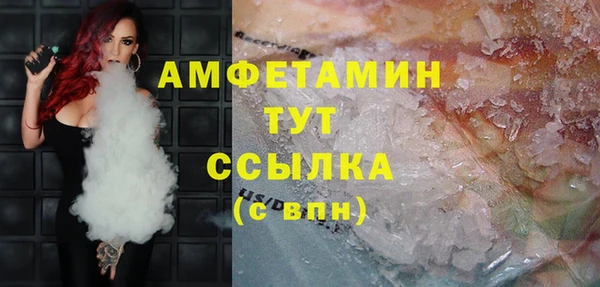 шишки Богородицк