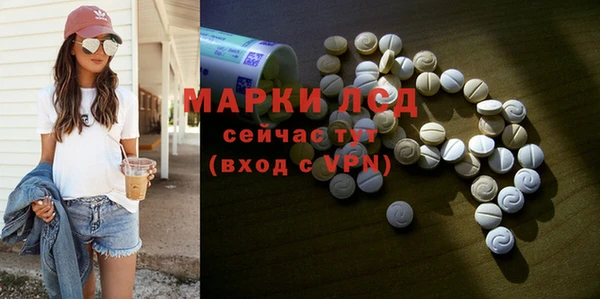 шишки Богородицк