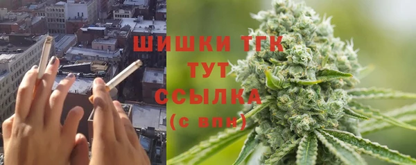 шишки Богородицк