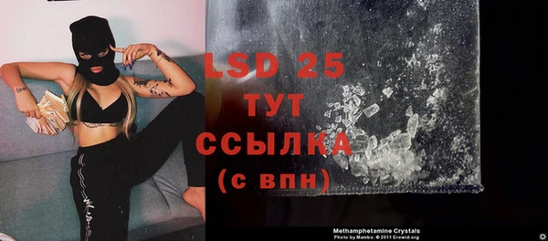 ГАЛЛЮЦИНОГЕННЫЕ ГРИБЫ Богданович