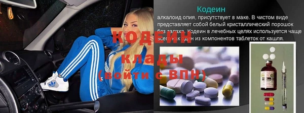 ГАЛЛЮЦИНОГЕННЫЕ ГРИБЫ Богданович