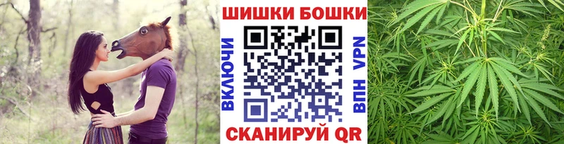 Каннабис SATIVA & INDICA  купить  цена  Дигора 